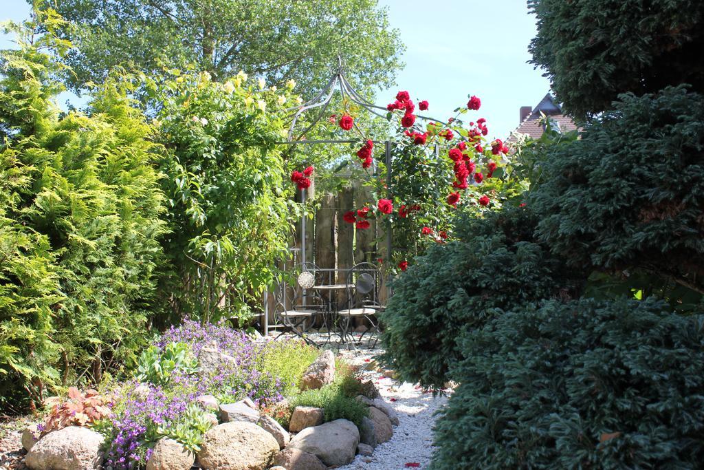 Haus Amo Solem Aparthotel Dierhagen Rom bilde